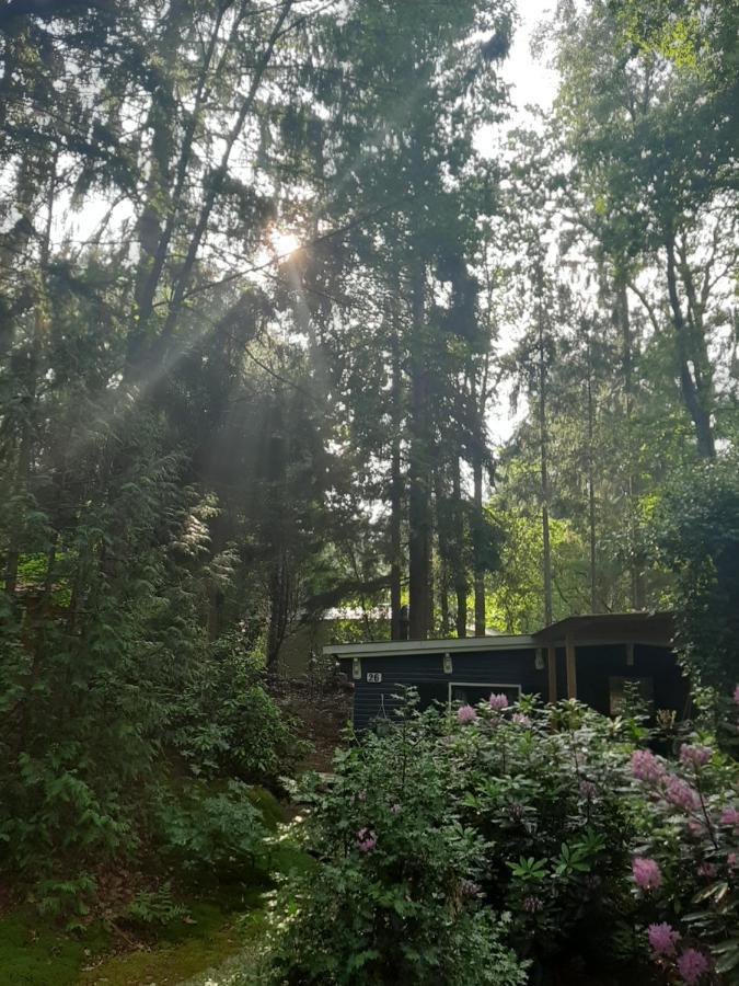 De Boshut Vledder Hotel Luaran gambar